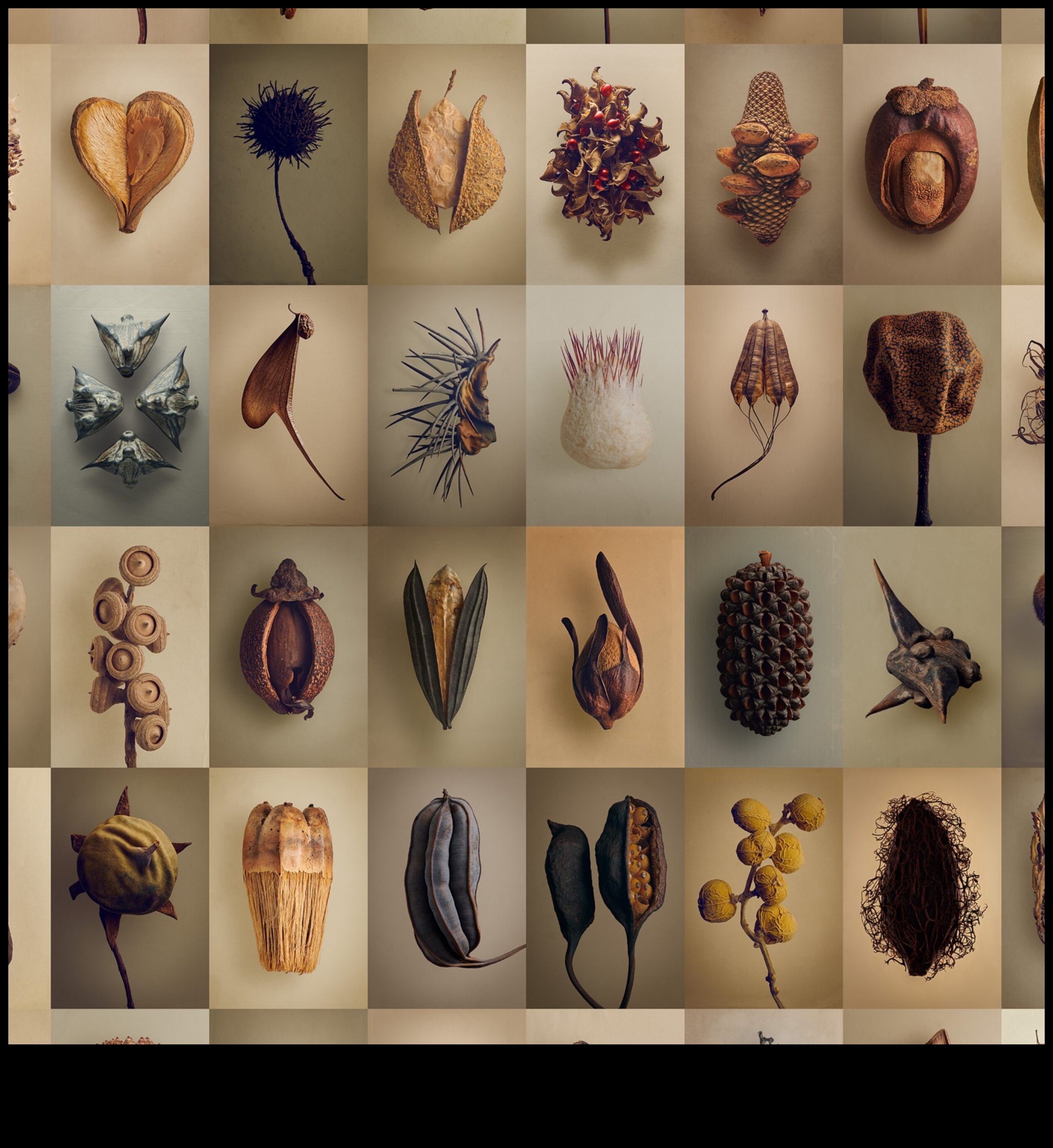 Παλέτα της Φύσης: Αιχμαλωτίζοντας τη Χλωρίδα και την Πανίδα με Χρώματα Μαρκαδόρων