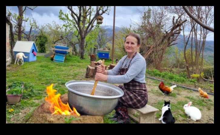 Hamlet Havens: Γοητευτική θέα σε χωριά και πόλεις
