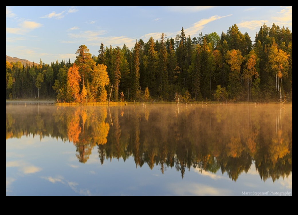 Ποια είναι τα βασικά στοιχεία που καθορίζουν τα τοπία;
