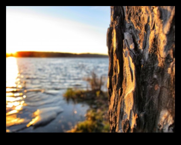 Γαλήνιες προοπτικές: Ήρεμα και ήρεμα τοπία