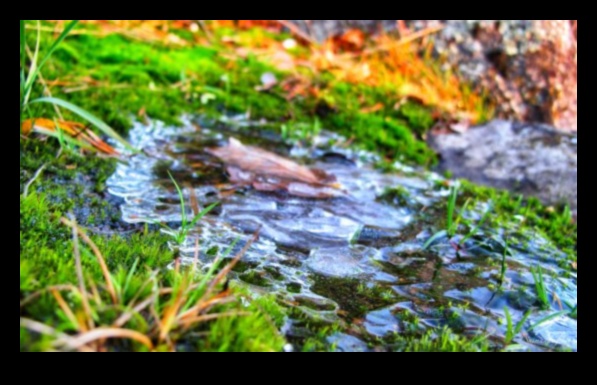 Γαλήνιες προοπτικές: Ήρεμα και ήρεμα τοπία