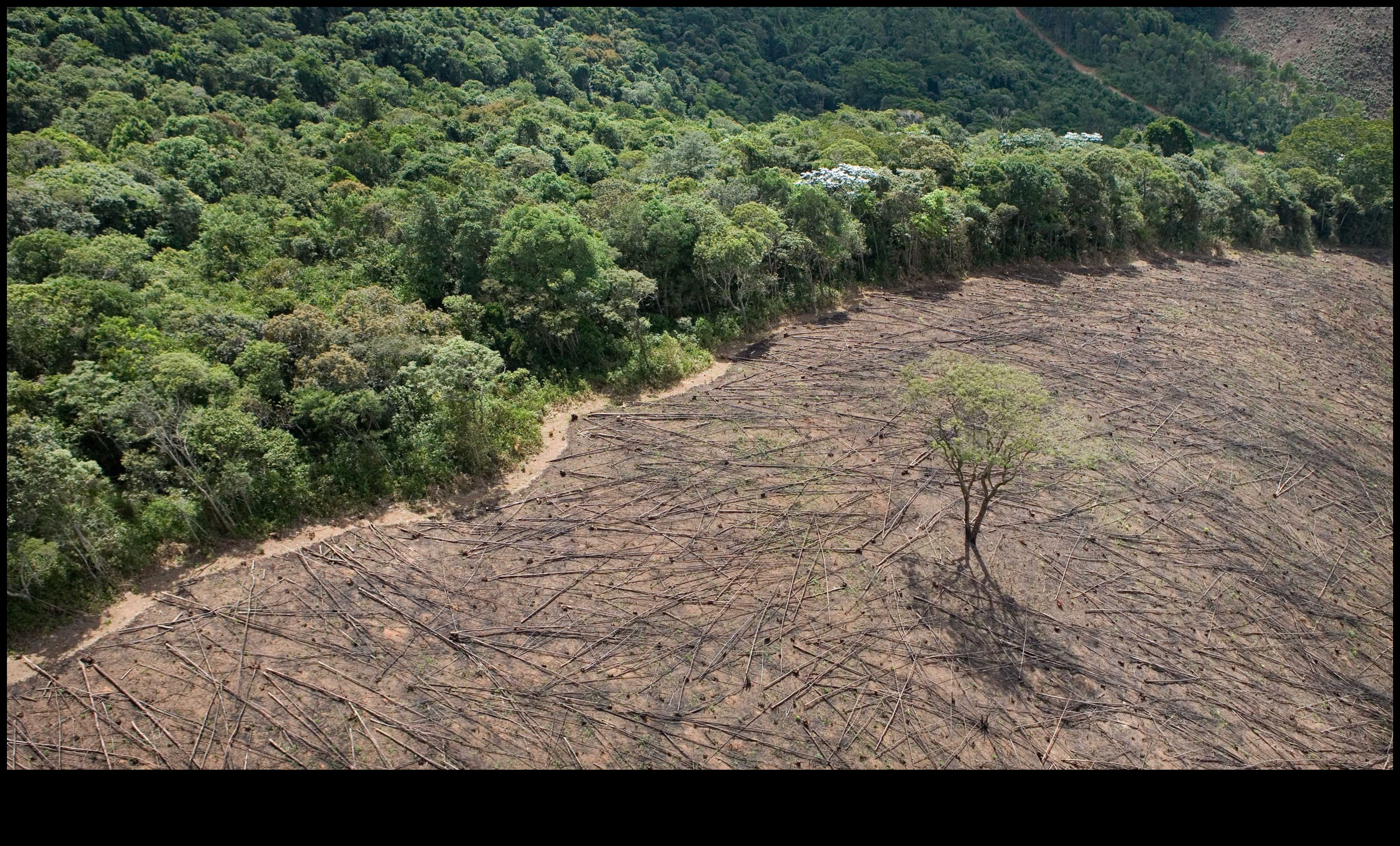 Nature's Refuge II: Περαιτέρω εξερευνήσεις οικολογικών αποθεμάτων
