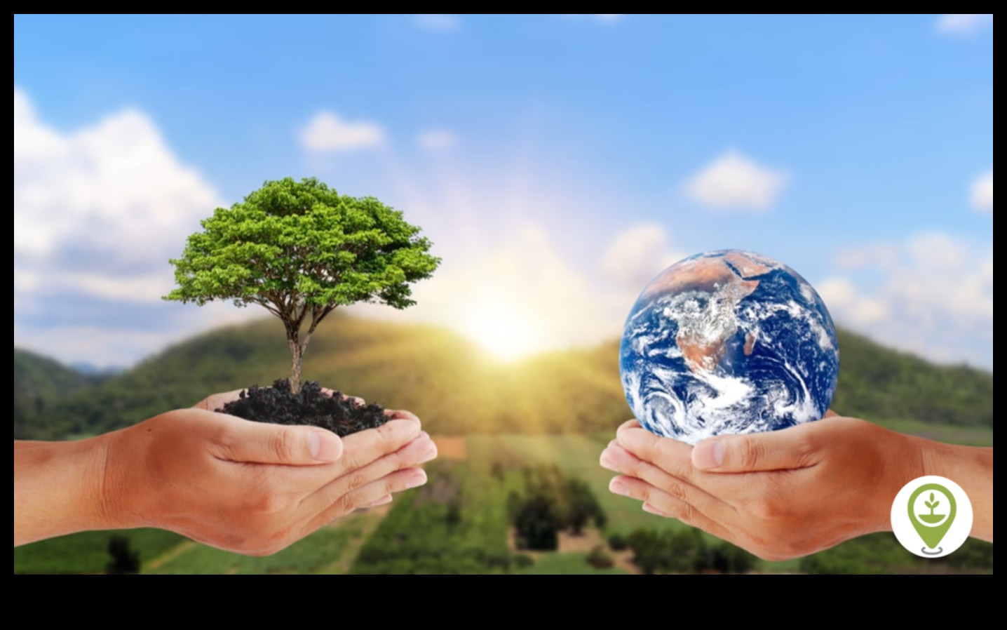 Nature's Refuge II: Περαιτέρω εξερευνήσεις οικολογικών αποθεμάτων