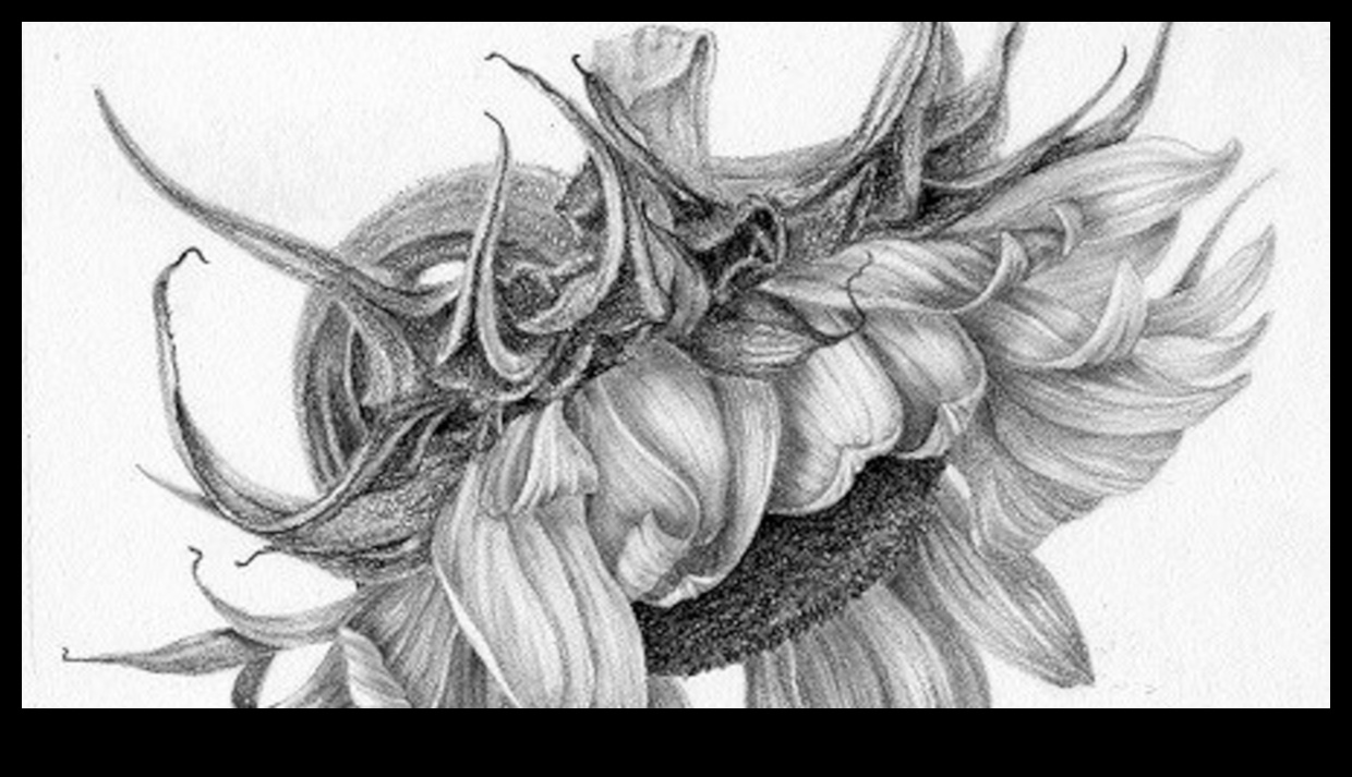 Σχέδιο της φύσης στον γραφίτη: Τεχνικές για ρεαλιστική χλωρίδα και πανίδα