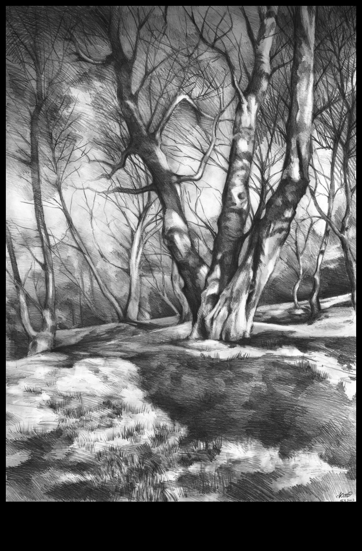 Σχέδιο της φύσης στον γραφίτη: Τεχνικές για ρεαλιστική χλωρίδα και πανίδα