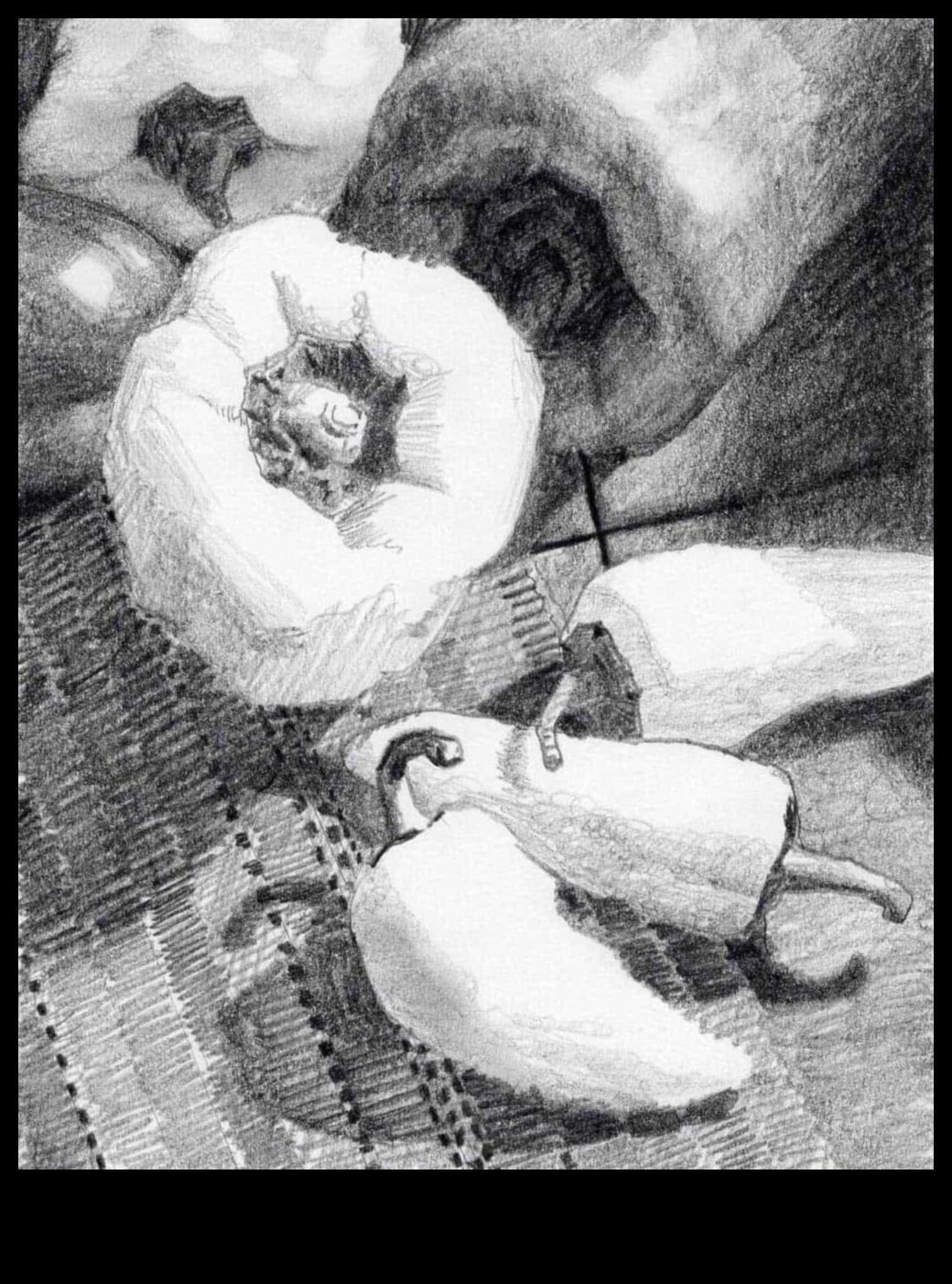 Αντικείμενα σε ηρεμία: Διαλογισμός στο σχέδιο νεκρής φύσης