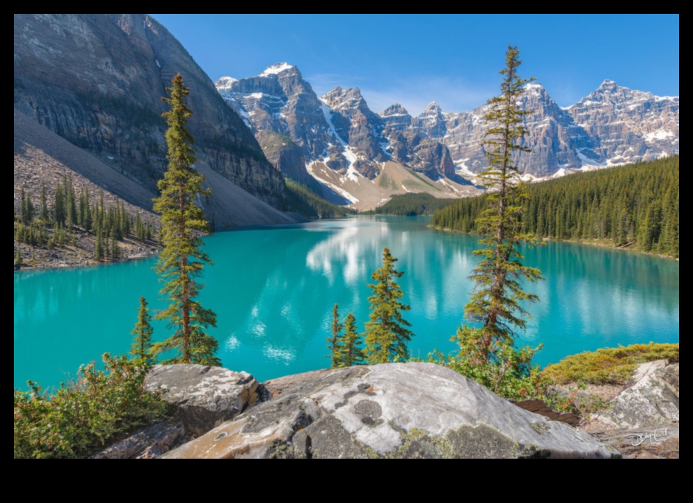 Landscape Symphony: Nature's Harmony in Every Shot