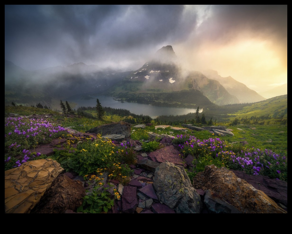 Ζωντανές όψεις: Μια ταπισερί από εντυπωσιακά τοπία