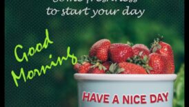 Morning Glory: Ξεκινήστε τη μέρα σας με ένα ποτήρι φρέσκα φρούτα καλοσύνης