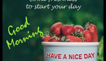 Morning Glory: Ξεκινήστε τη μέρα σας με ένα ποτήρι φρέσκα φρούτα καλοσύνης