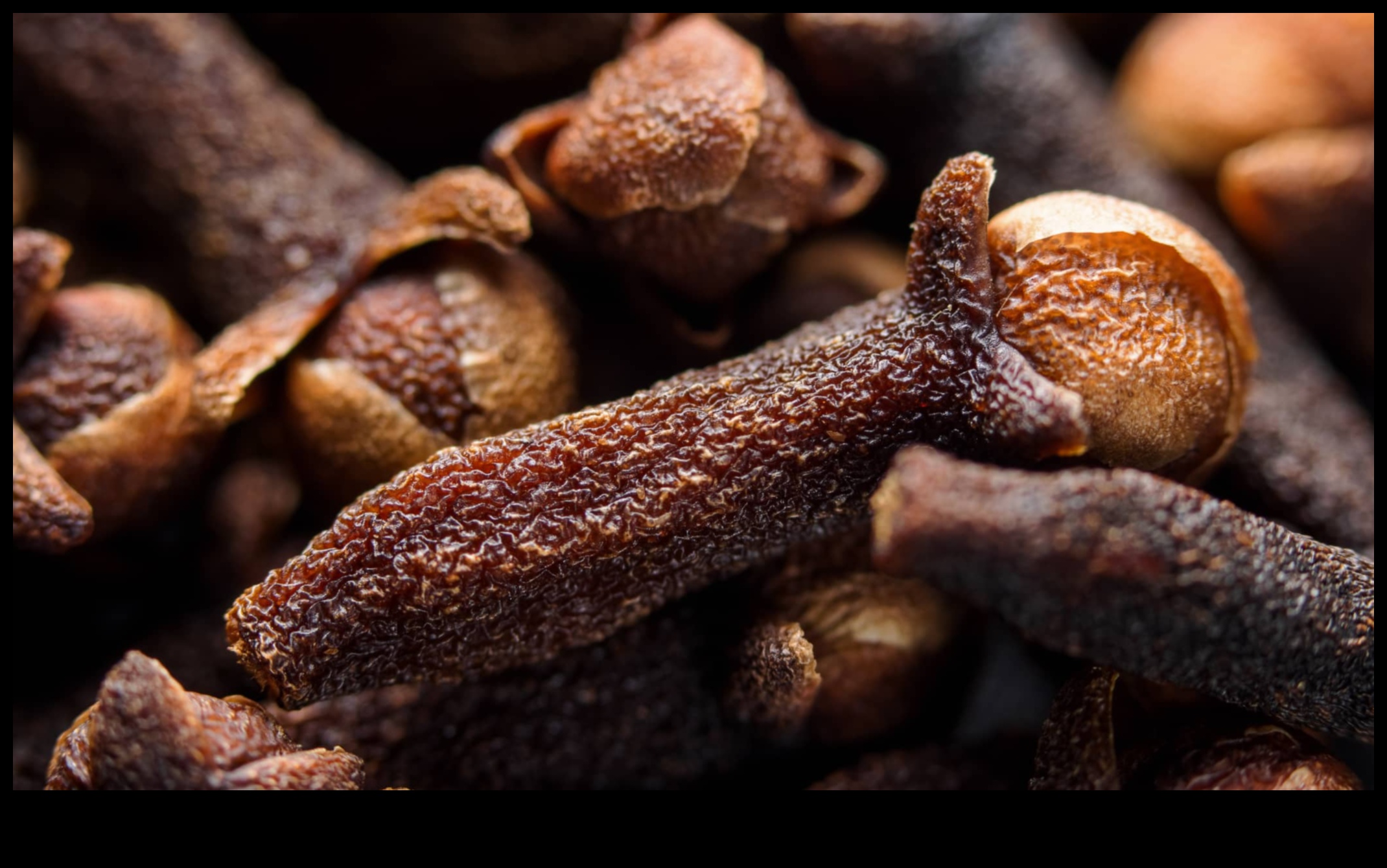 Μακρο φακός DIY Photography: Exploring Close-up Photography