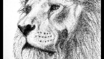 The Intricate Web: Exploring Pointillism in Ink Drawings