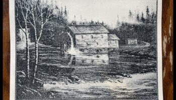 The Stillness Project: Drawing Inanimate Narratives