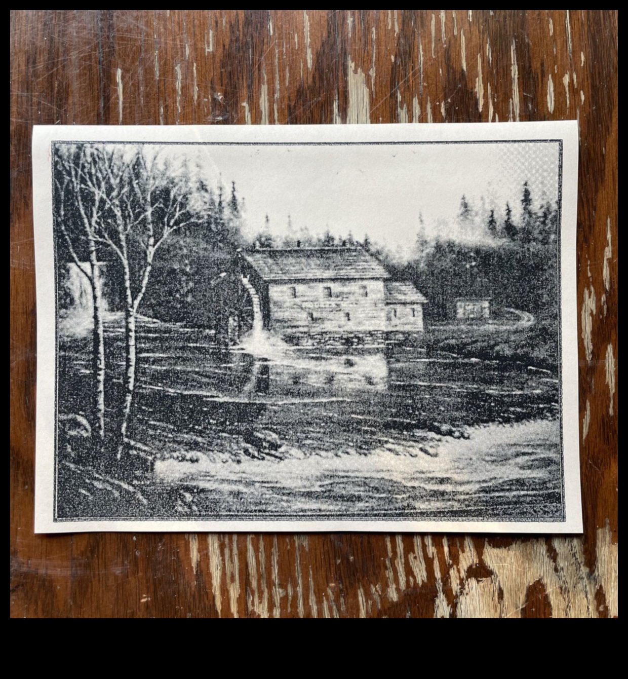 The Stillness Project: Drawing Inanimate Narratives