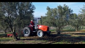 Αμπελώνες και οπωρώνες: Εκεί που η γεωργία συναντά την τέχνη