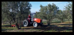 Αμπελώνες και οπωρώνες: Εκεί που η γεωργία συναντά την τέχνη