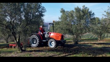 Αμπελώνες και οπωρώνες: Εκεί που η γεωργία συναντά την τέχνη