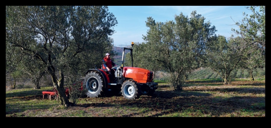 Αμπελώνες και οπωρώνες: Εκεί που η γεωργία συναντά την τέχνη