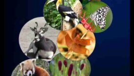 Θησαυροί Βιοποικιλότητας: Περιοχές Διατήρησης Παγκοσμίως