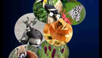 Θησαυροί Βιοποικιλότητας: Περιοχές Διατήρησης Παγκοσμίως