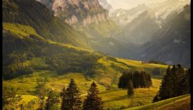 Visual Elegance: A Pictorial Celebration of Breathting Landscape Views