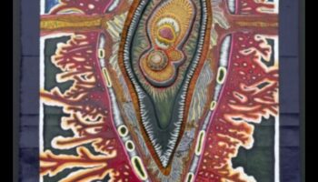 Επιστημονική λεπτομέρεια: Μεταφέροντας την πολυπλοκότητα μέσω της τέχνης