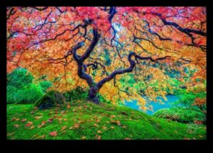 Landscape Symphony: Nature's Harmony in Every Shot