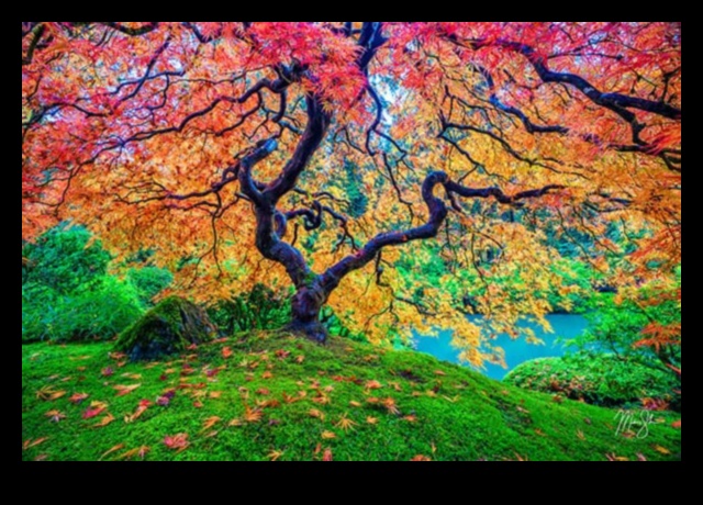 Landscape Symphony: Nature's Harmony in Every Shot