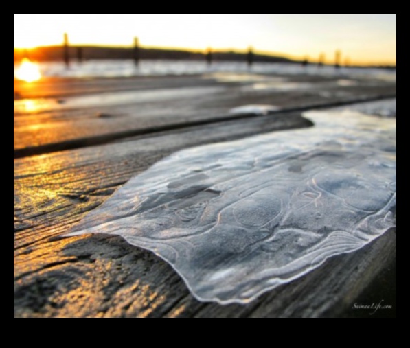 Γαλήνιες προοπτικές: Ήρεμα και ήρεμα τοπία