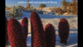 Παλέτα της Φύσης: Αιχμαλωτίζοντας τη Χλωρίδα και την Πανίδα με Χρώματα Μαρκαδόρων