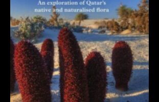 Παλέτα της Φύσης: Αιχμαλωτίζοντας τη Χλωρίδα και την Πανίδα με Χρώματα Μαρκαδόρων