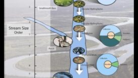 Rhythms of Rivulets III: Streams and Creeks Flowing Through Various Landscapes Again