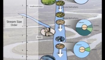 Rhythms of Rivulets III: Streams and Creeks Flowing Through Various Landscapes Again