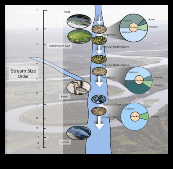 Rhythms of Rivulets III: Streams and Creeks Flowing Through Various Landscapes Again