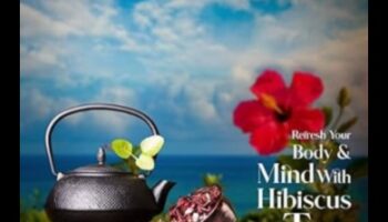 Πιείτε και ανανεώστε: θρέψτε το σώμα και το μυαλό σας με τον αναζωογονητικό ιβίσκο