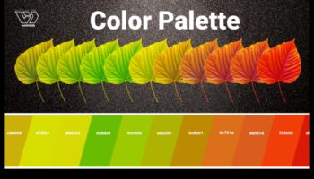 Colorful Creativity: The Power of Palette in Design Trends