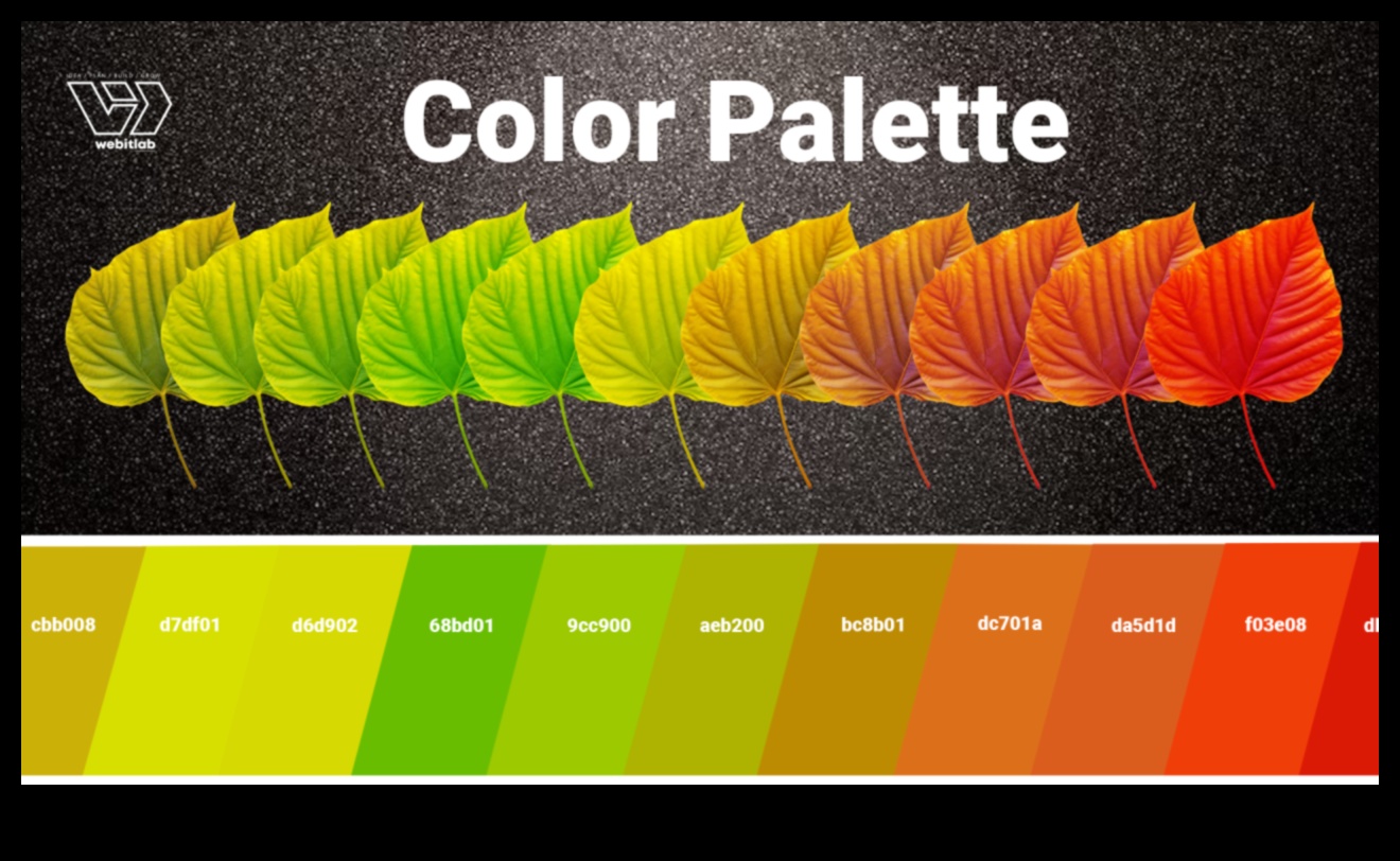 Colorful Creativity: The Power of Palette in Design Trends